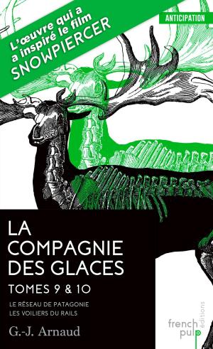Cover of the book La Compagnie des glaces - tome 9 Le Réseau de Patagonie - tome 10 Les Voiliers du Rail by Francis Ryck