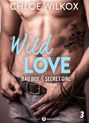 Book cover of Wild Love - 3