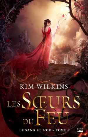 Cover of the book Les Soeurs du feu by Terry Goodkind