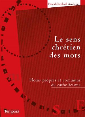 Cover of the book Le sens chrétien des mots by Alexia Vidot, Martin Steffens