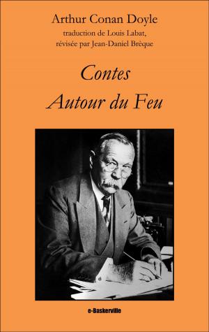 Cover of the book Contes autour du feu by Robert Barr, Jean-Daniel Brèque (traducteur)