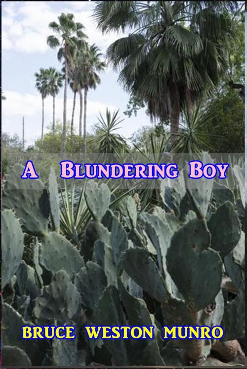 Cover of the book A Blundering Boy by Bruce Weston Munro, Classic Young Readers