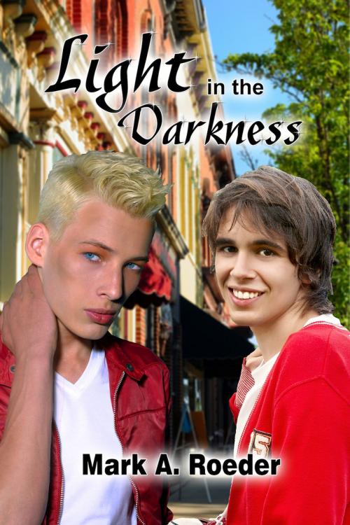 Cover of the book Light in the Darkness by Mark A. Roeder, Mark A. Roeder
