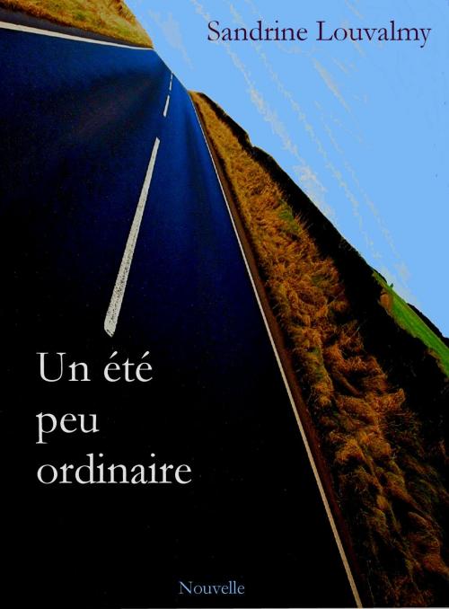 Cover of the book Un été peu ordinaire by Sandrine LOUVALMY, Louvalmy