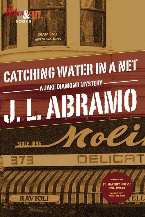 Cover of the book Catching Water in a Net by J.L. Abramo, Down & Out Books