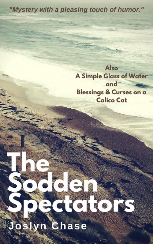 Cover of the book The Sodden Spectators by Joslyn Chase, Joslyn Chase