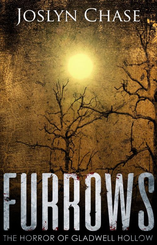 Cover of the book Furrows by Joslyn Chase, Story Chase