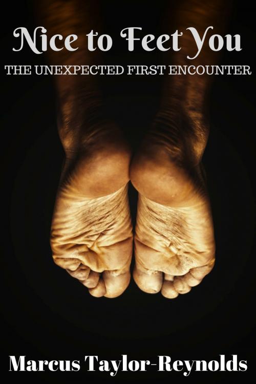 Cover of the book Nice To Feet You by Marcus Taylor-Reynolds, Marcus Taylor-Reynolds
