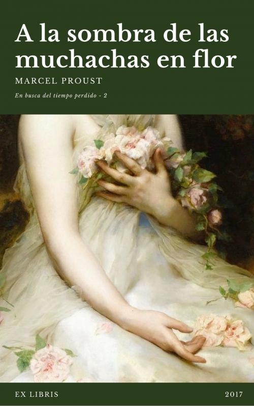 Cover of the book En busca del tiempo perdido by Marcel Proust, (DF) Digital Format 2017