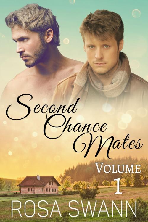Cover of the book Second Chance Mates volume 1 by Rosa Swann, 5 Times Chaos