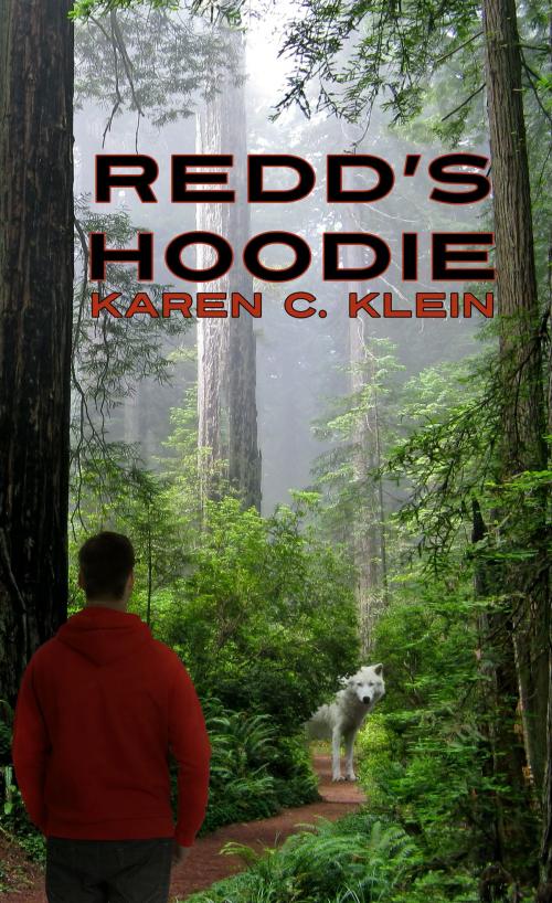 Cover of the book Redd's Hoodie by Karen C. Klein, Dancing Dragon Press