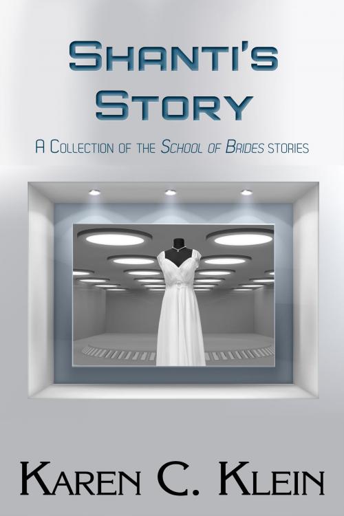 Cover of the book Shanti's Story by Karen C. Klein, Dancing Dragon Press