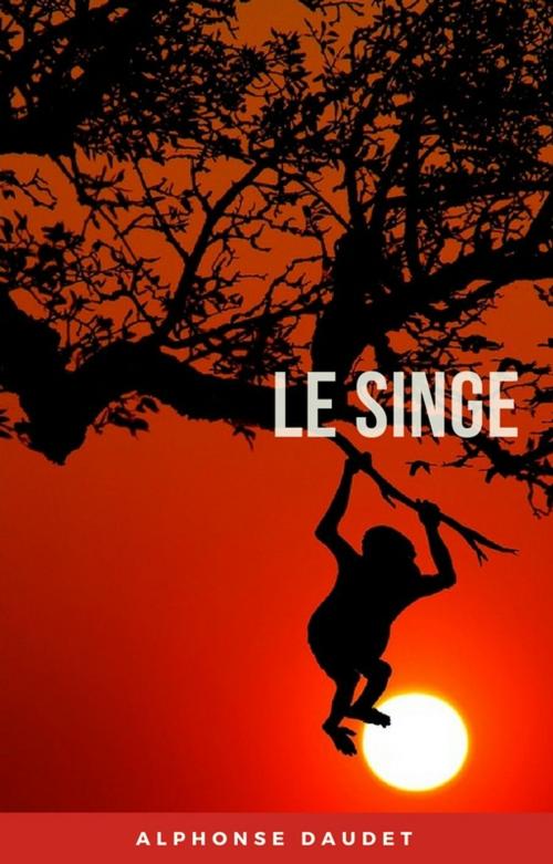 Cover of the book Le singe by Alphonse Daudet, koumimi