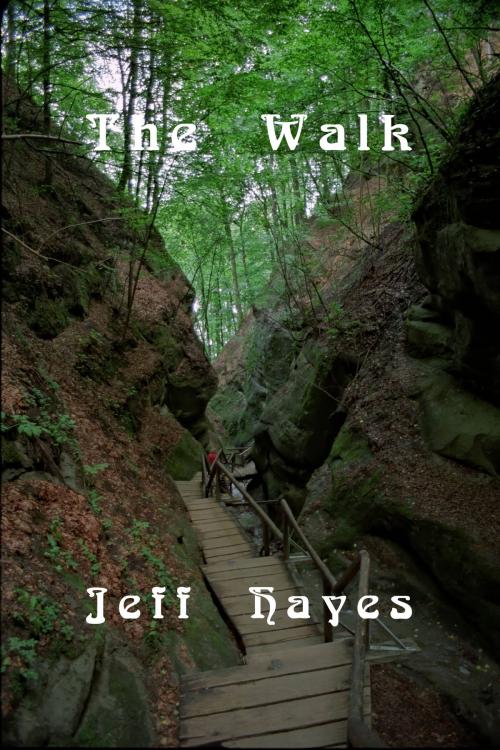 Cover of the book The Walk by Jeff Hayes, Jeff Hayes