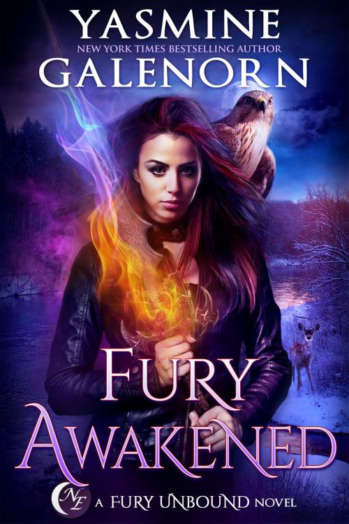 Cover of the book Fury Awakened by Yasmine Galenorn, Nightqueen Enterprises LLC
