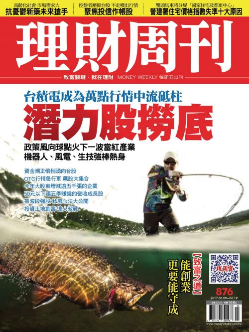 Cover of the book 理財周刊876期_政策風向球 潛力股撈底 by 理財周刊, 理財周刊