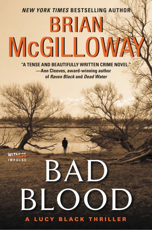 Cover of the book Bad Blood by Brian McGilloway, Witness Impulse