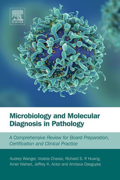 Cover of the book Microbiology and Molecular Diagnosis in Pathology by Audrey Wanger, Violeta Chavez, Richard Huang, Amer Wahed, Jeffrey K. Actor, PhD, Amitava Dasgupta, PhD, DABCC, Elsevier Science