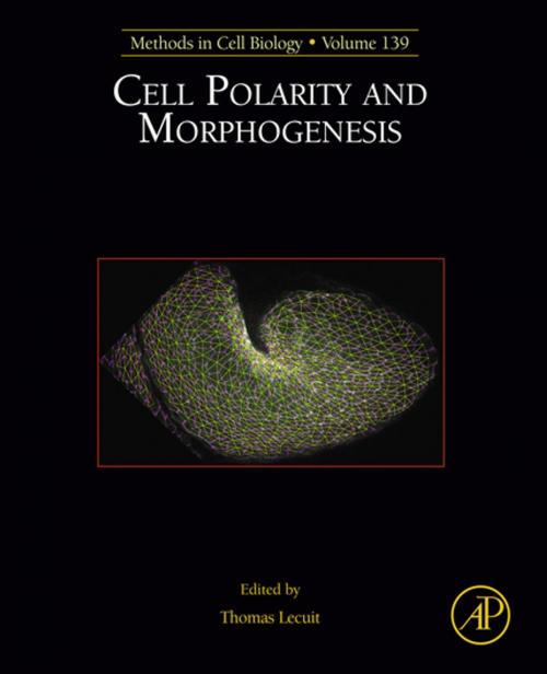 Cover of the book Cell Polarity and Morphogenesis by Thomas Lecuit, Elsevier Science