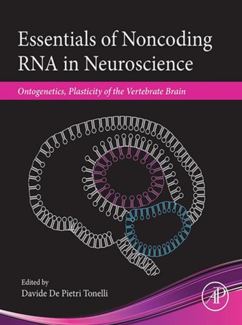 Cover of the book Essentials of Noncoding RNA in Neuroscience by , Elsevier Science