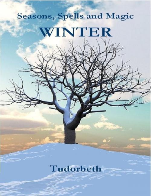 Cover of the book Seasons, Spells and Magic: Winter by Tudorbeth, Lulu.com