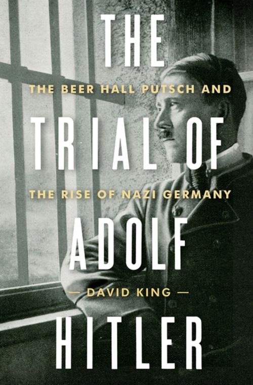 Cover of the book The Trial of Adolf Hitler: The Beer Hall Putsch and the Rise of Nazi Germany by David King, W. W. Norton & Company