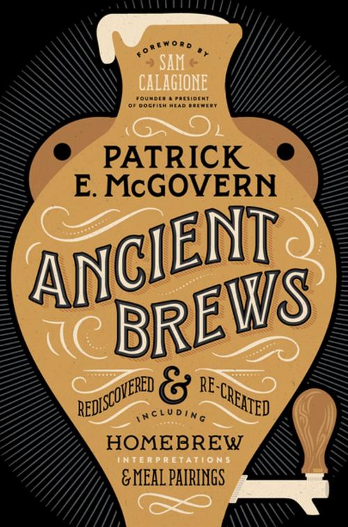 Cover of the book Ancient Brews: Rediscovered and Re-created by Patrick E. McGovern, W. W. Norton & Company