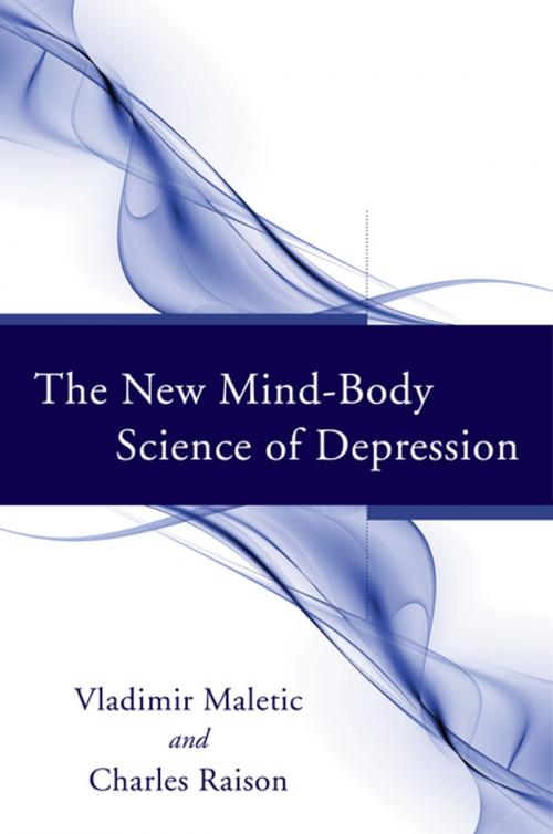 Cover of the book The New Mind-Body Science of Depression by Vladimir Maletic, Charles Raison, W. W. Norton & Company