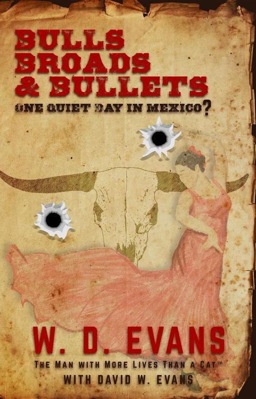 Cover of the book Bulls, Broads, & Bullets by W. D. Evans, wayne Evans