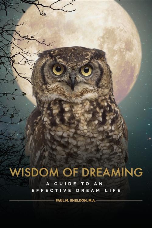 Cover of the book Wisdom of Dreaming by Paul M. Sheldon, Limnosophy, LLC