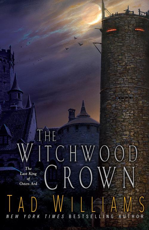 Cover of the book The Witchwood Crown by Tad Williams, DAW