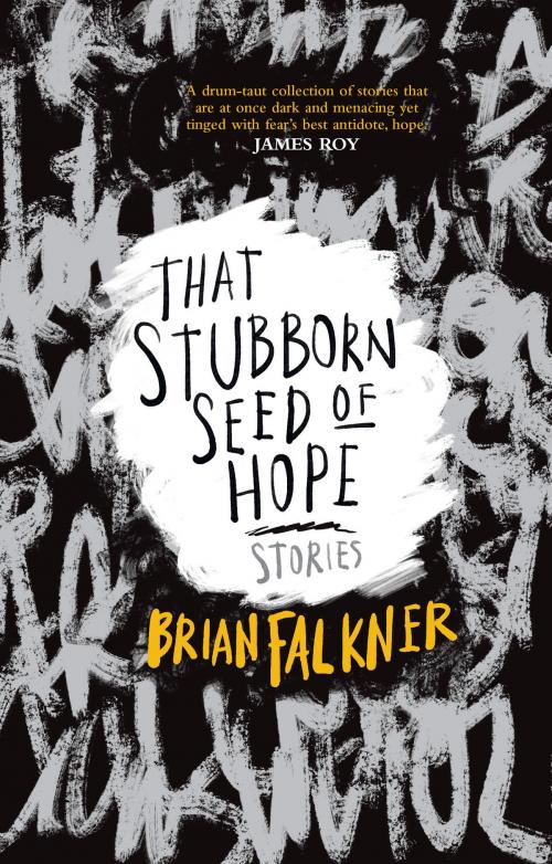 Cover of the book Stubborn Seed of Hope by Brian Falkner, University of Queensland Press