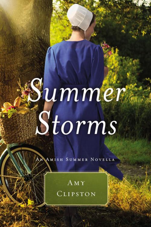 Cover of the book Summer Storms by Amy Clipston, Thomas Nelson