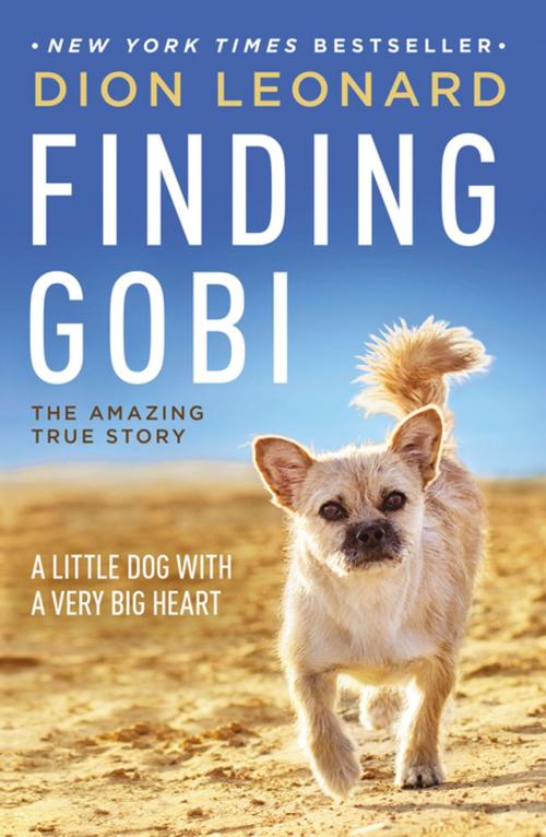 Cover of the book Finding Gobi by Dion Leonard, Thomas Nelson