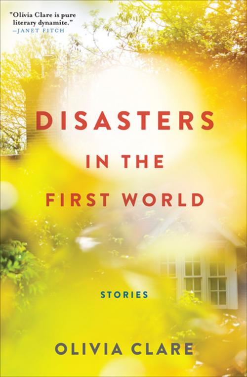 Cover of the book Disasters in the First World by Olivia Clare, Grove Atlantic