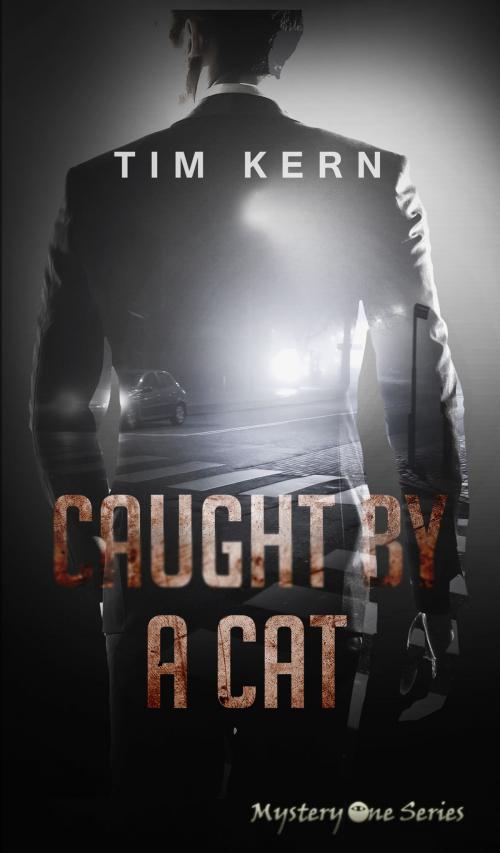Cover of the book Caught by a Cat: Not a Childrens' Book by Tim Kern, Tim Kern