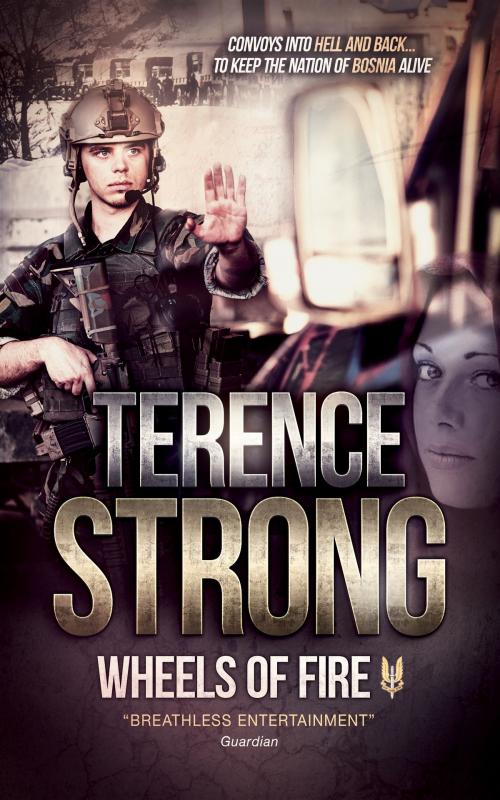 Cover of the book WHEELS OF FIRE by Terence Strong, SILVER FOX PRESS