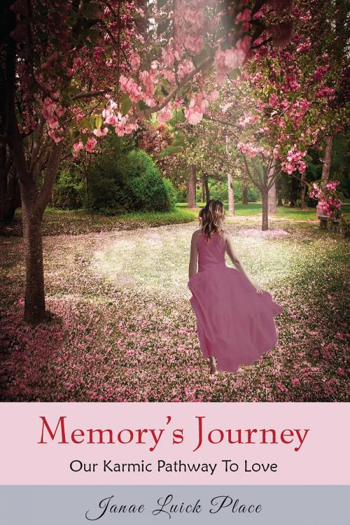 Cover of the book Memory's Journey by Janae Luick Place, Janna Place