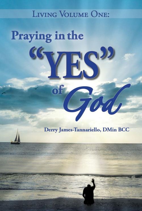 Cover of the book Living Volume One: Praying in the YES of God by Derry James-Tannariello, Derry James-Tannariello