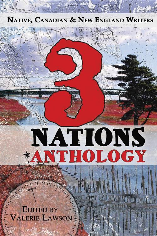 Cover of the book 3 Nations by Brown R. Michael, Loring M. Donna, Resolute Bear Press
