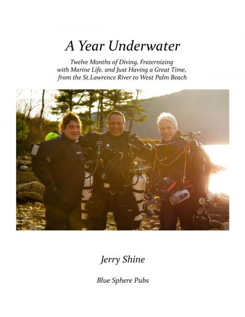 Cover of the book A Year Underwater by Jerry Shine, BookBaby