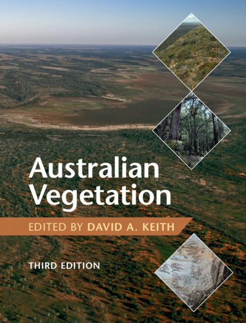 Cover of the book Australian Vegetation by , Cambridge University Press