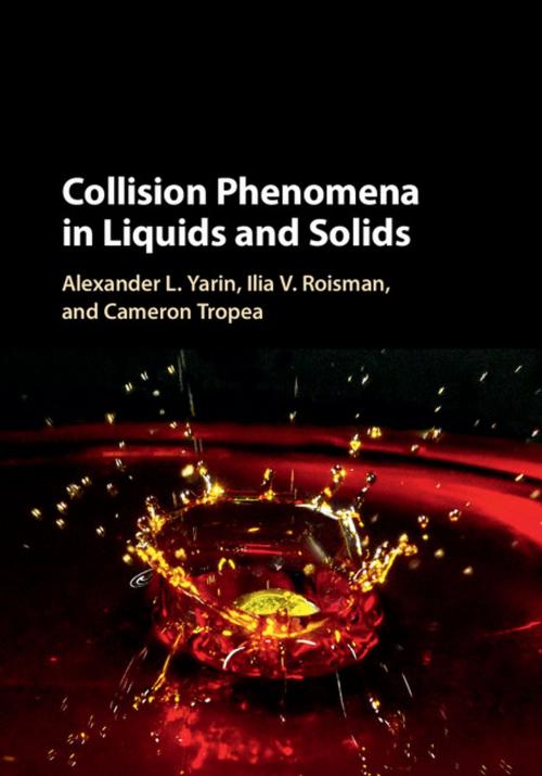 Cover of the book Collision Phenomena in Liquids and Solids by Alexander L. Yarin, Ilia V. Roisman, Cameron Tropea, Cambridge University Press