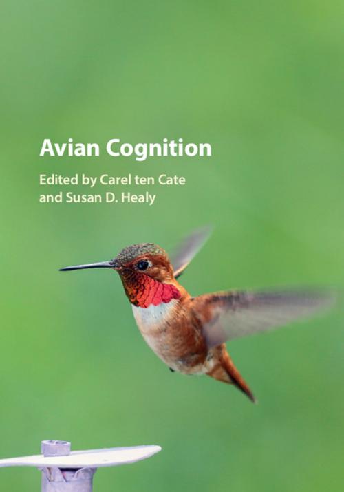 Cover of the book Avian Cognition by , Cambridge University Press