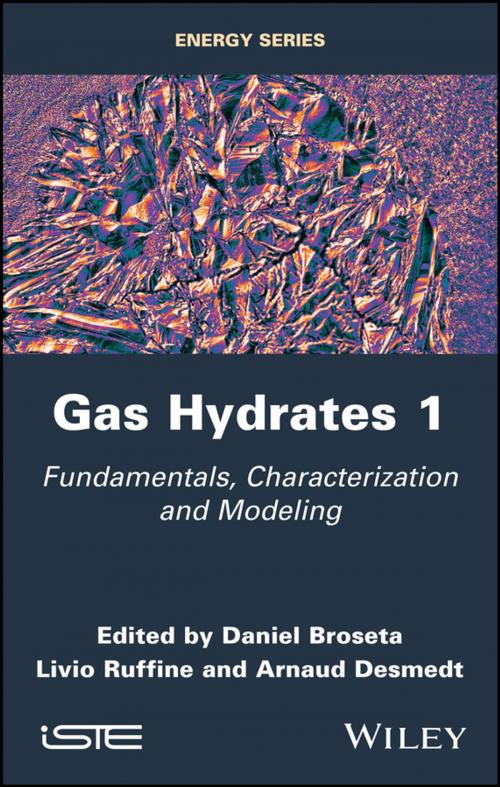 Cover of the book Gas Hydrates 1 by , Wiley