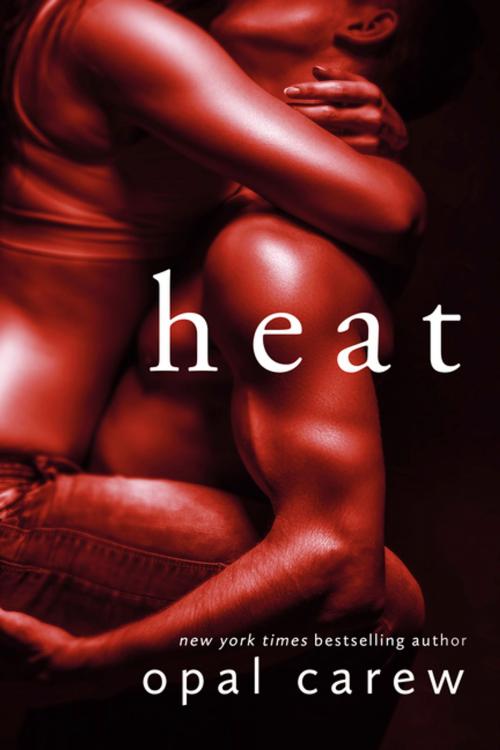 Cover of the book Heat: A Novel by Opal Carew, St. Martin's Press
