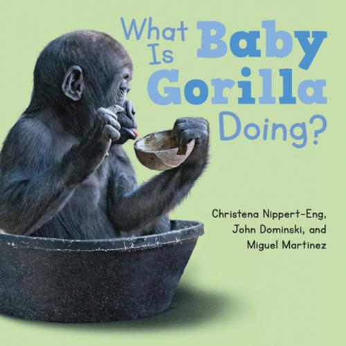 Cover of the book What Is Baby Gorilla Doing? by Christena Nippert-Eng, Henry Holt and Co. (BYR)