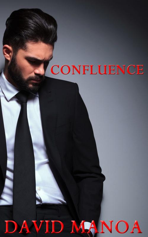 Cover of the book Confluence by David Manoa, David Manoa