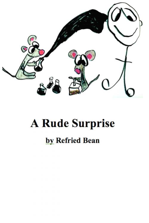 Cover of the book A Rude Surprise by Refried Bean, Refried Bean