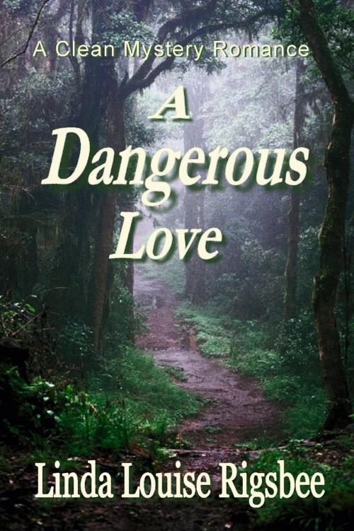 Cover of the book A Dangerous Love by Linda Louise Rigsbee, Linda Louise Rigsbee